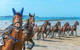 Courses de chevaux LANCIEUX <abbr class="author sub"> Par Acal </abbr>